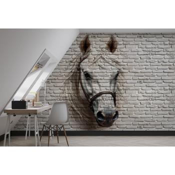 3 Boyutlu Taş Duvar Üzerinde At Kafası Duvar Kağıdı