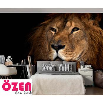 Aslan Resimli Duvar Kağıdı