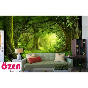 Büyük Ağaçlar Orman Manzaralı Duvar Kağıdı