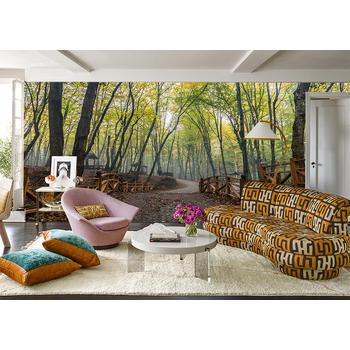 Derin Orman Manzarası Duvar Kağıdı