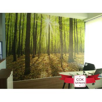 Doğa 362 Ağaçlar Arasında Güneş Işıkları