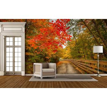 Sonbahar Manzarası ve Yapraklar