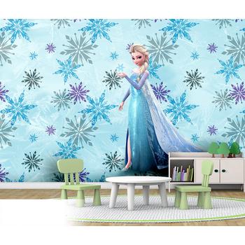 Elsa Karlar Ülkesi  Duvar Kağıdı 2