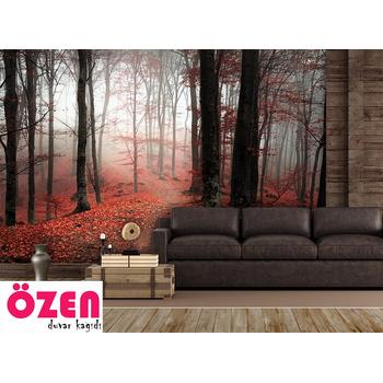 Kırmızı Sisli Orman Duvar Kağıdı