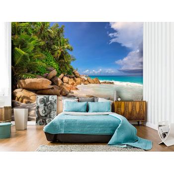 Sahilde Palmiye Ağaçları ve Kayalıklar