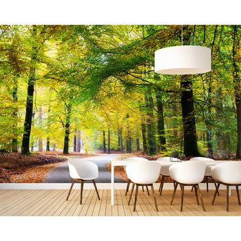 Sonbahar Manzarası Duvar Kağıdı