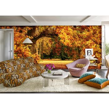 Sonbahar Orman Manzarası Duvar Kağıdı