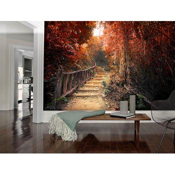 Sonbahar Yaprakları arasında derin yol