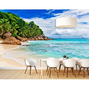 Tropikal Deniz Kenarı Kayalıklar ve Palmiyeler