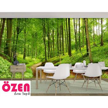 Yeşil Orman Arası Derin Yol Duvar Kağıdı