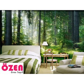 Yeşil Orman Manzaralı Duvar Kağıdı