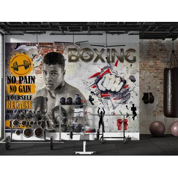 Boks Duvar Kağıdı , Spor Salonu Duvar Kağıtları , GYM Vücut Geliştirme Duvar Kağıdı