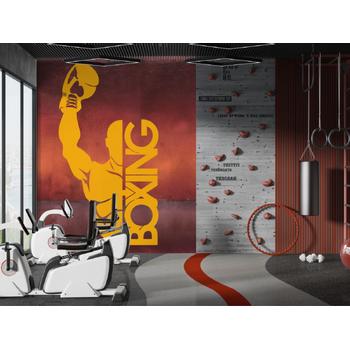 Boks Salonu Duvar Kağıdı Modelleri