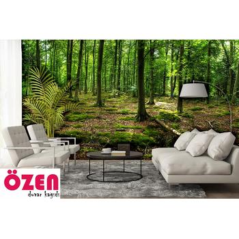 ilkbahar Orman Manzarası Duvar Kağıdı