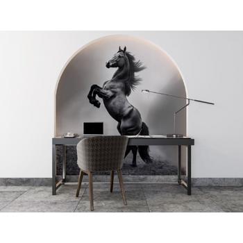 Siyah At Duvar Kağıdı Son Trend Duvar Kağıdı Modelleri