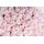 çiçekler 149 Soft Pembe Güller