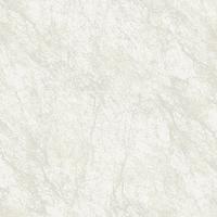 Tropicano Duvar Kağıdı 23