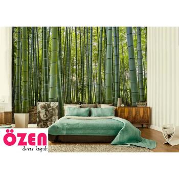 3 Boyutlu Derinlik  Bambu Ağaçlar Manzarası